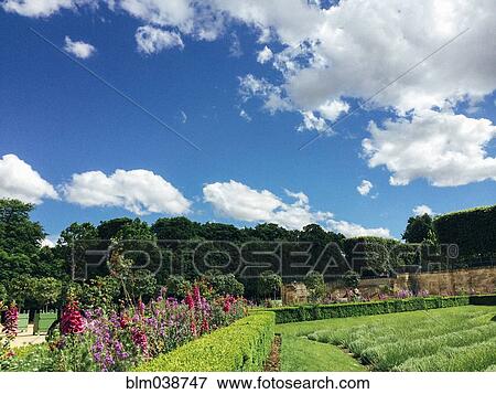 Stock Photo - Manicured gardens under blue sky. Fotosearch