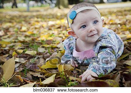 Mixed race baby girl crawling in autumn leaves View Large Photo Image Stock Photo - Mixed race baby girl crawling in autumn leaves. Fotosearch