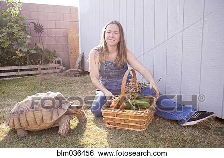 Mixed race farmer and tortoise basket of vegetables View Large Photo Image Stock Photograph - Mixed race farmer and tortoise basket of vegetables. Fotosearch