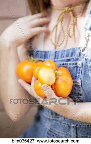Stock Photo - Mixed race farmer carrying fresh tomatoes. Fotosearch
