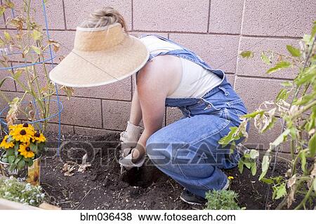 Mixed race farmer digging in garden View Large Photo Image Stock Photo - Mixed race farmer digging in garden. Fotosearch