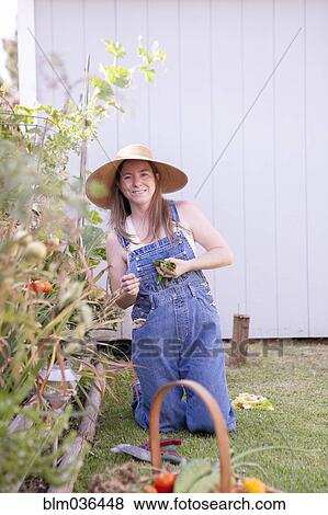 Mixed race farmer gathering vegetables in garden View Large Photo Image Stock Photo - Mixed race farmer gathering vegetables in garden. Fotosearch