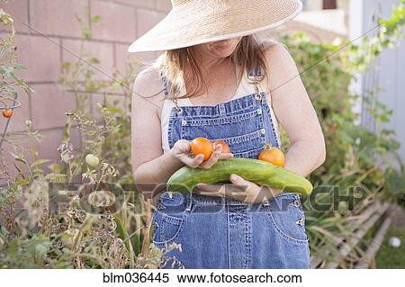 Stock Photography - Mixed race farmer gathering vegetables in garden. Fotosearch