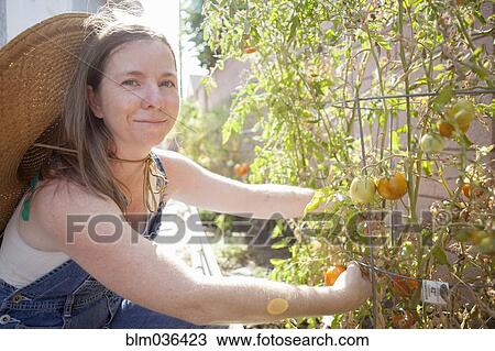 Stock Image - Mixed race farmer working in garden. Fotosearch
