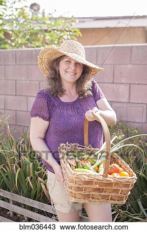 Mixed race gardener gathering vegetables in garden View Large Photo Image Stock Image - Mixed race gardener gathering vegetables in garden. Fotosearch