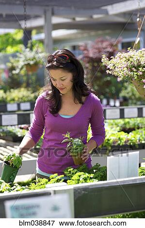 Stock Photo - Mixed race woman shopping in nursery. Fotosearch