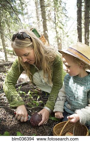 Mother and son foraging for mushrooms in forest View Large Photo Image Picture - Mother and son foraging for mushrooms in forest. Fotosearch