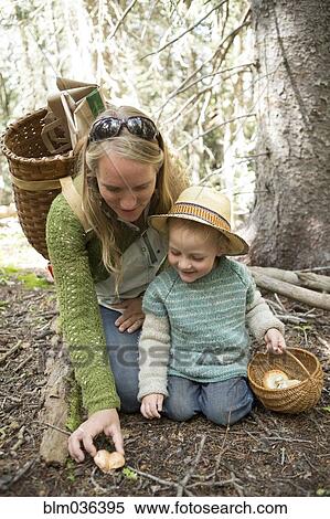 Mother and son foraging for mushrooms in forest View Large Photo Image Stock Photography - Mother and son foraging for mushrooms in forest. Fotosearch