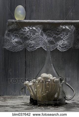Mushrooms growing in broken glass pitcher View Large Photo Image Stock Image - Mushrooms growing in broken glass pitcher. Fotosearch