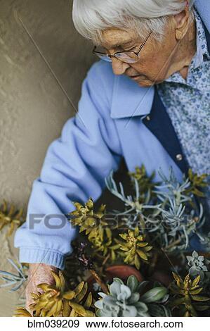 Stock Photo - Older mixed race woman caring for potted plants. Fotosearch