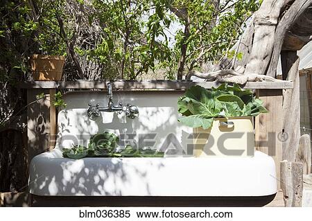 Plants in outdoor sink in backyard View Large Photo Image Stock Photography - Plants in outdoor sink in backyard. Fotosearch