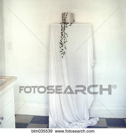 Stock Photo - Potted plant and draping curtain on shelf. Fotosearch
