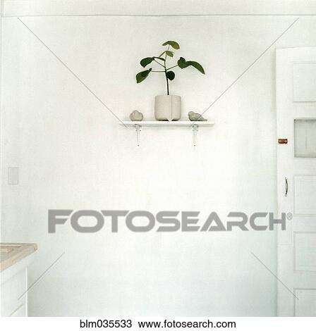Stock Image - Potted plant on shelf. Fotosearch