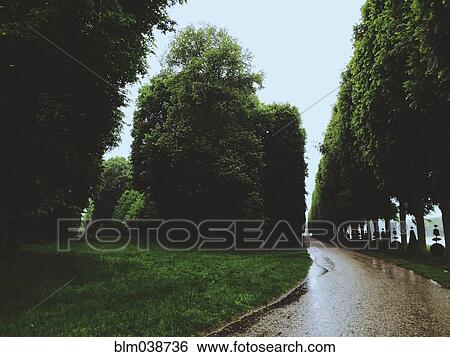 Stock Photograph - Rainy path in urban park. Fotosearch