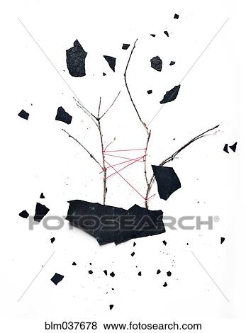 Scattered debris and tied branches View Large Photo Image Stock Photo - Scattered debris and tied branches. Fotosearch