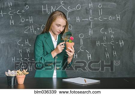 Student examining plant in science class View Large Photo Image Stock Photo - Student examining plant in science class. Fotosearch