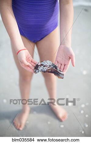 Teenage girl holding seashell on beach View Large Photo Image Picture - Teenage girl holding seashell on beach. Fotosearch