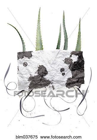Stock Photography - Watercolor napkin over plant leaves. Fotosearch