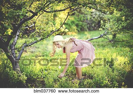 Woman picking flowers in rural field View Large Photo Image Stock Image - Woman picking flowers in rural field. Fotosearch