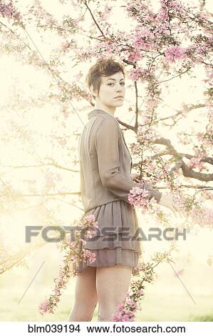 Woman standing in flowering trees View Large Photo Image Picture - Woman standing in flowering trees. Fotosearch