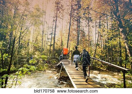 Stock Photo - Backpackers hiking on bridge in forest. Fotosearch