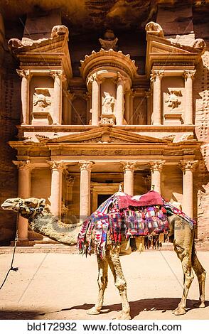 Camel wearing harness by ancient building, Petra, Jordan, jordan View Large Photo Image Stock Image - Camel wearing harness by ancient building, Petra, Jordan, jordan. Fotosearch