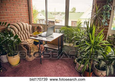 Caucasian boy using laptop at desk View Large Photo Image Stock Photo - Caucasian boy using laptop at desk. Fotosearch