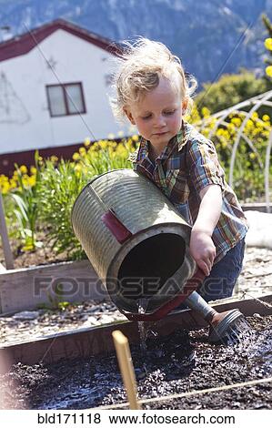 Caucasian boy watering plants in garden View Large Photo Image Stock Photo - Caucasian boy watering plants in garden. Fotosearch