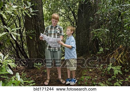Picture - Caucasian boys reading map in forest. Fotosearch