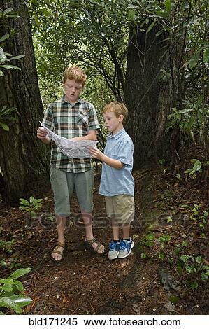 Caucasian boys reading map in forest View Large Photo Image Stock Photography - Caucasian boys reading map in forest. Fotosearch