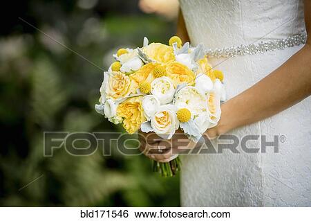 Caucasian bride holding bouquet in garden View Large Photo Image Stock Photograph - Caucasian bride holding bouquet in garden. Fotosearch