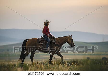 Caucasian cowgirl riding horse in rural field View Large Photo Image Stock Image - Caucasian cowgirl riding horse in rural field. Fotosearch