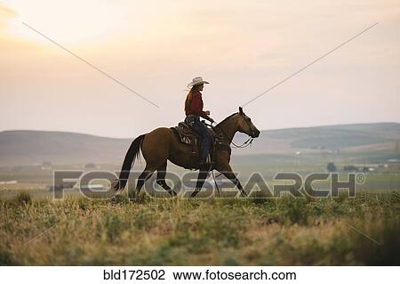 Stock Image - Caucasian cowgirl riding horse in rural field. Fotosearch