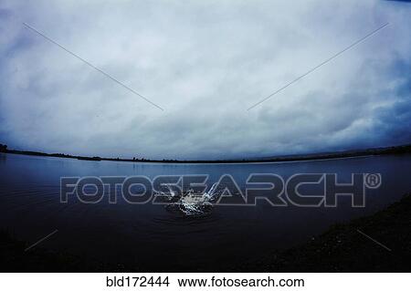 Picture - Caucasian man splashing in still remote lake. Fotosearch