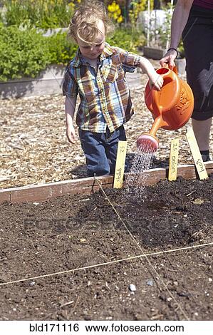 Caucasian mother and son watering plants in garden View Large Photo Image Stock Photograph - Caucasian mother and son watering plants in garden. Fotosearch