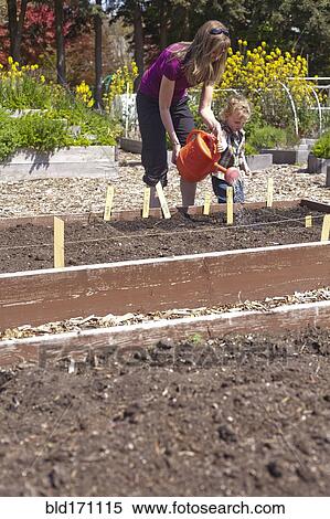 Stock Photography - Caucasian mother and son watering plants in garden. Fotosearch