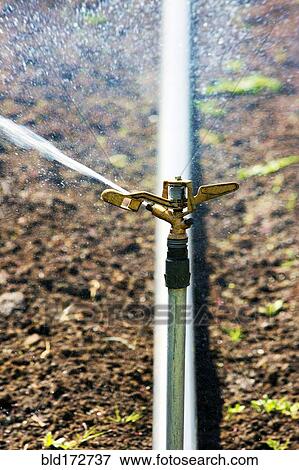 Stock Photo - Close up of irrigation sprinkler spraying water. Fotosearch