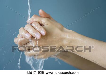 Close up of mixed race woman washing her hands View Large Photo Image Stock Photograph - Close up of mixed race woman washing her hands. Fotosearch