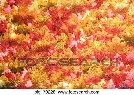 Stock Photo - Close up of pile of autumn leaves. Fotosearch