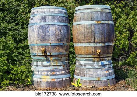 Stock Photo - Close up of rain barrels with taps. Fotosearch