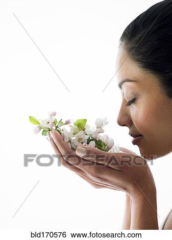 Close up of woman smelling flowers View Large Photo Image Stock Photograph - Close up of woman smelling flowers. Fotosearch
