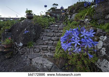 Cobblestone steps outside house View Large Photo Image Stock Photograph - Cobblestone steps outside house. Fotosearch