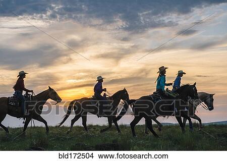 Cowgirls and cowboy riding horses in rural field View Large Photo Image Picture - Cowgirls and cowboy riding horses in rural field. Fotosearch