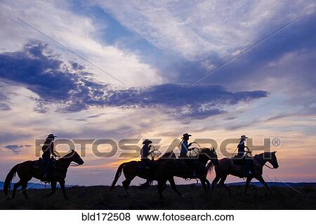 Cowgirls and cowboy riding horses in rural field View Large Photo Image Stock Photo - Cowgirls and cowboy riding horses in rural field. Fotosearch