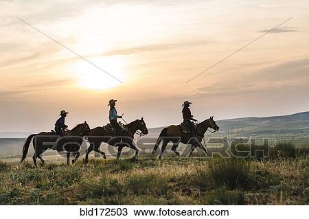 Stock Image - Cowgirls riding horses in rural field. Fotosearch
