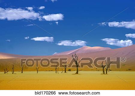 Stock Photograph - Dead trees and sand dunes in remote desert landscape. Fotosearch