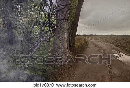 Dirt path by forest and rural fields View Large Photo Image Stock Image - Dirt path by forest and rural fields. Fotosearch