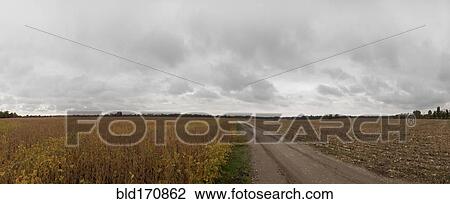 Dirt path through fields in rural landscape View Large Photo Image Stock Image - Dirt path through fields in rural landscape. Fotosearch