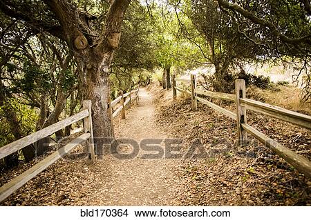 Dirt path through park View Large Photo Image Picture - Dirt path through park. Fotosearch