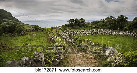 Stock Image - Dirt path through rural fields. Fotosearch